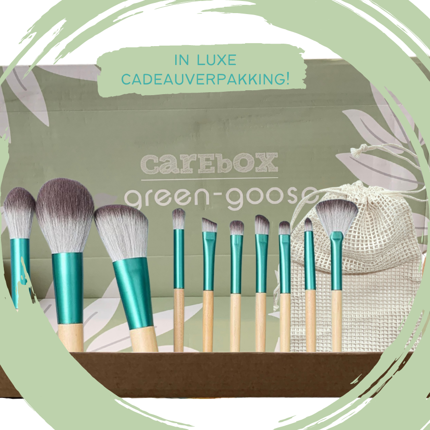 Make-up-Pinsel-Set mit Tasche | 10 Stück
