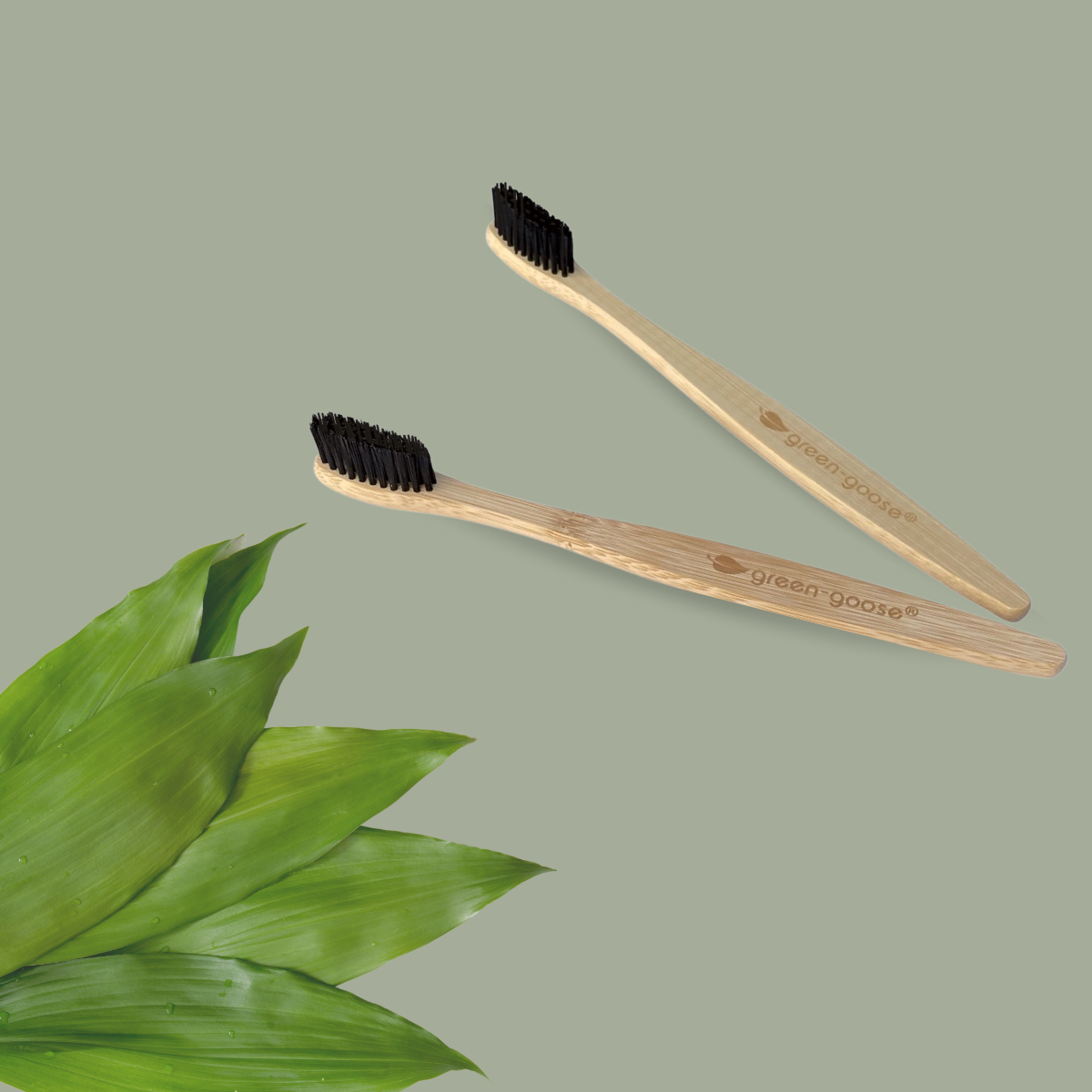 Bamboo Toothbrush | 4 Pieces | Hard