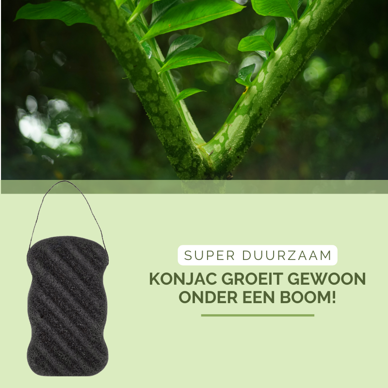 Carepaket Lena