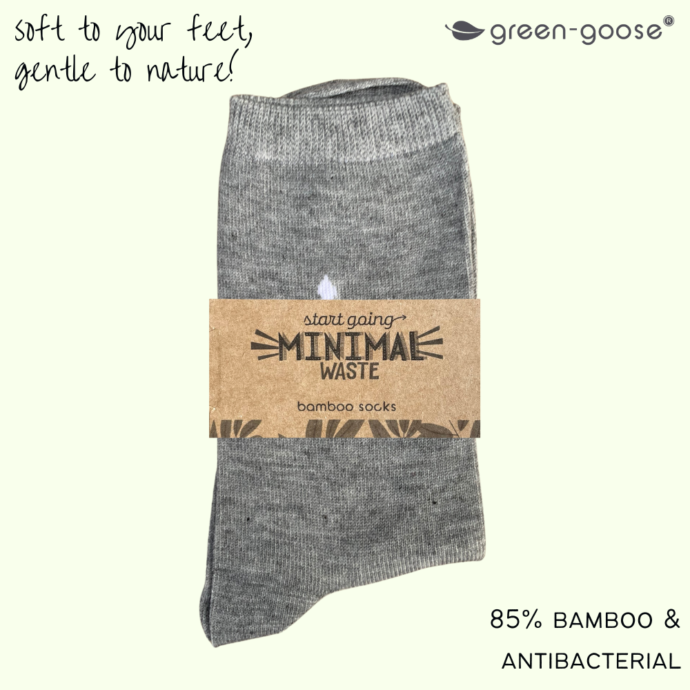 green-goose Bamboe Heren Sokken | 2 Paar | Raam | 39-44