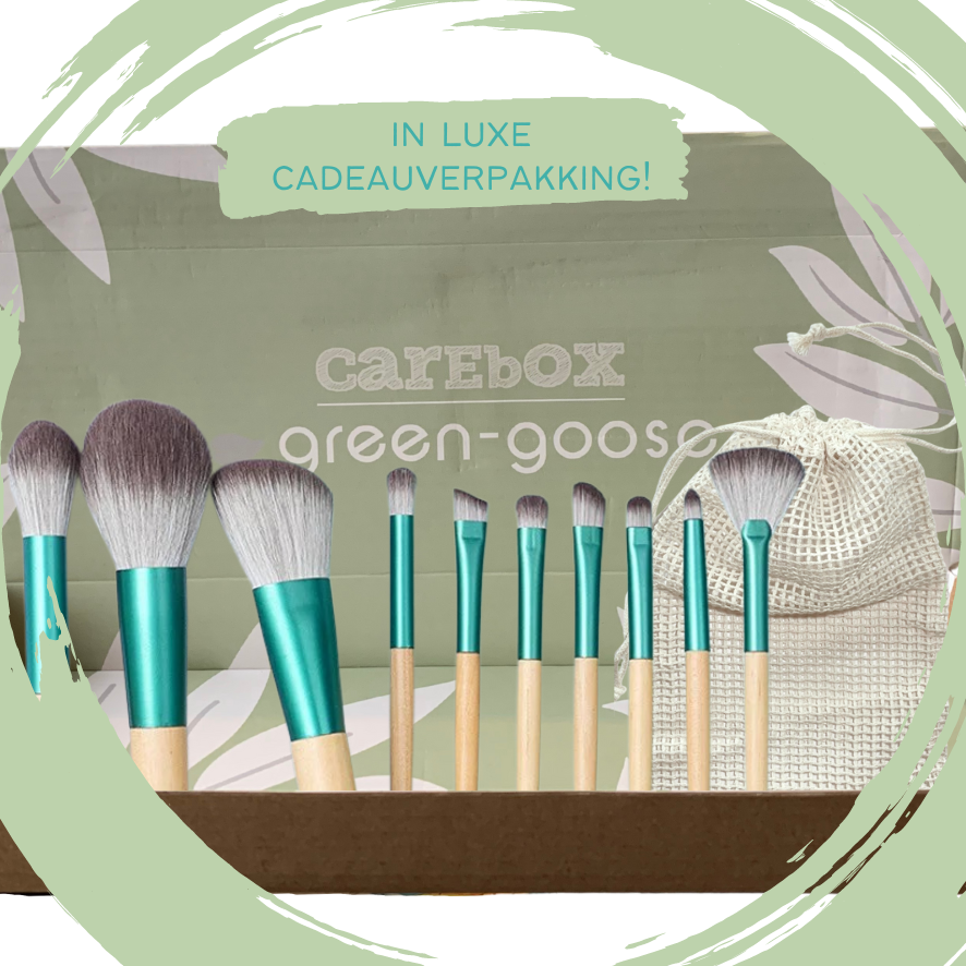 Make Up Brush Set with Bag | 10 pieces 