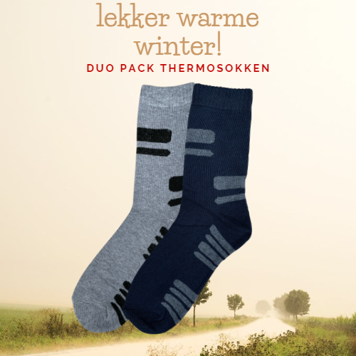 Bamboo Terry Thermos Socks Men | 2 pair
