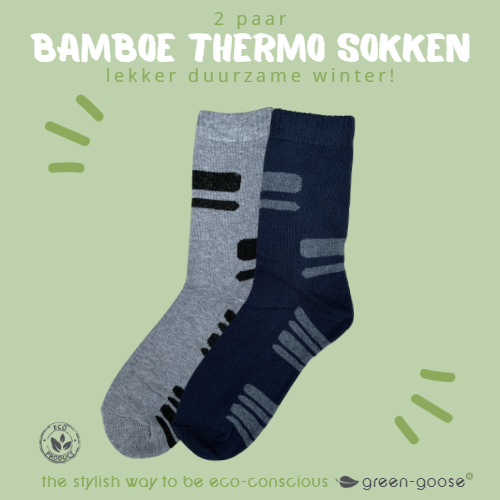 Bamboo Terry Thermos Socks Men | 2 pair